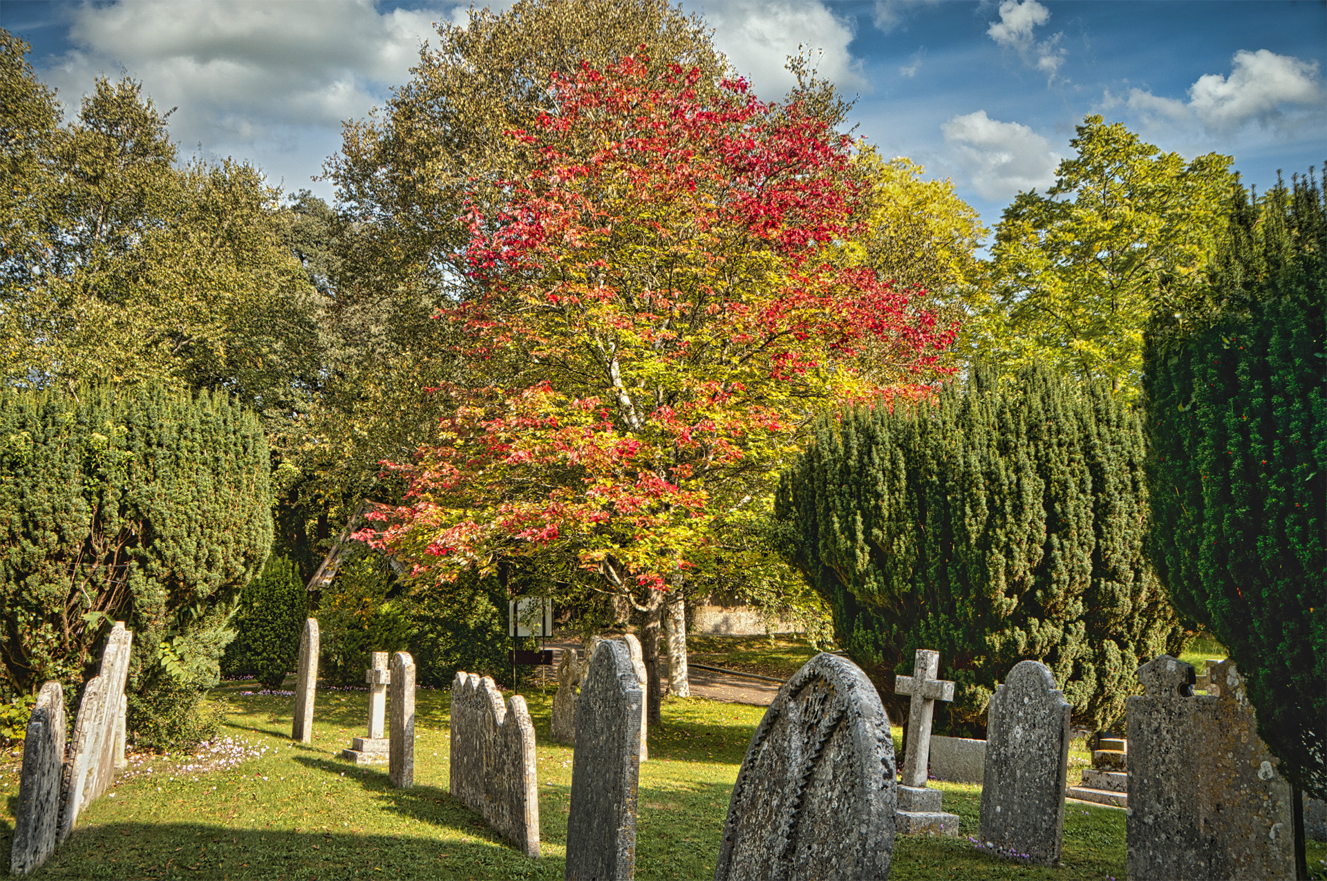 Gleanings