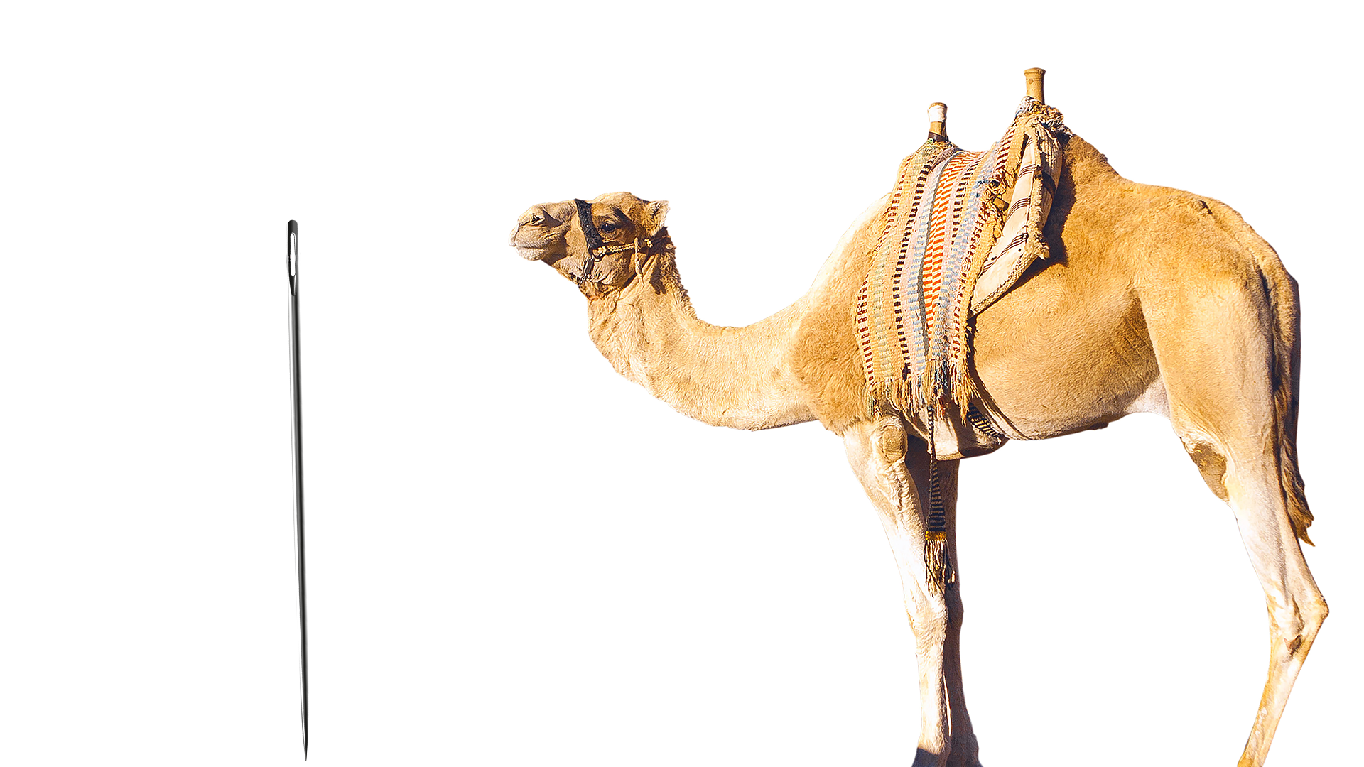 Can a Camel Pass through the Eye of the Needle?